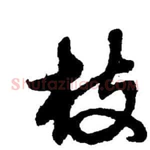 枝