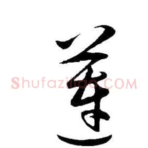 莲