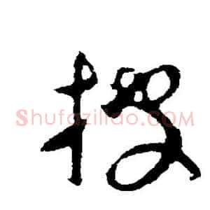 披