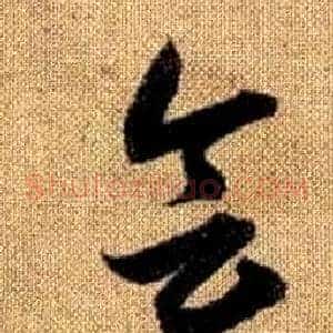 会