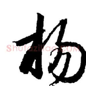 杨