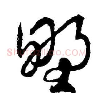野