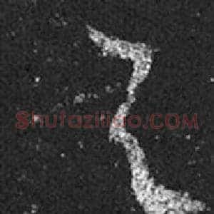 與