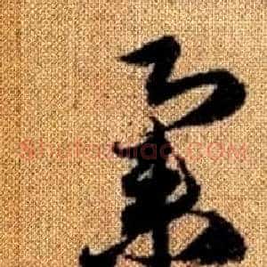 集