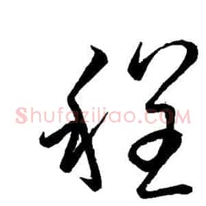 程