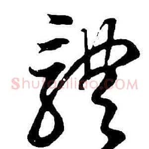 體