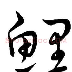 鲤