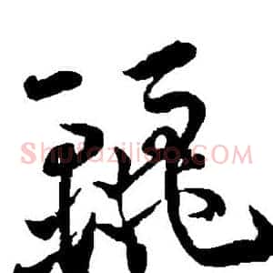 丽