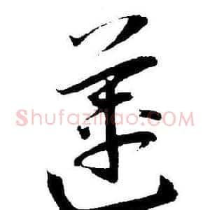 莲