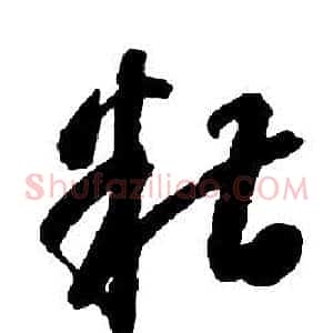 糟