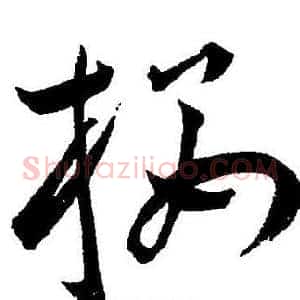 楼