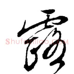 露