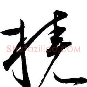 桡