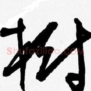 樹