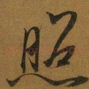 照