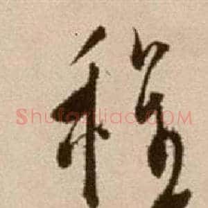 程