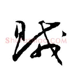 賊