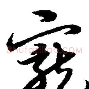 宠