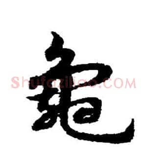 龟