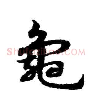 龜
