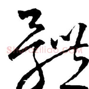 体