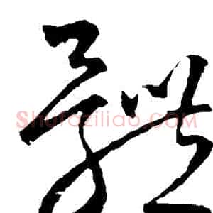 體