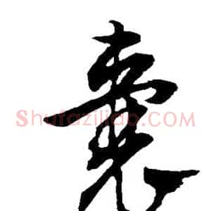 囊