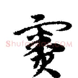 竇
