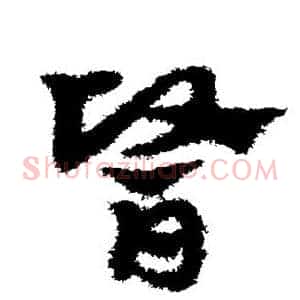 医
