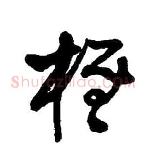 柽