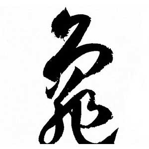 龜