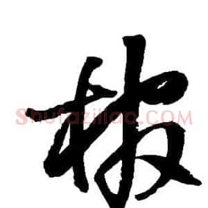 棺