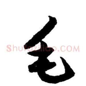 毛