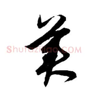 美