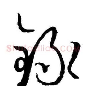 录