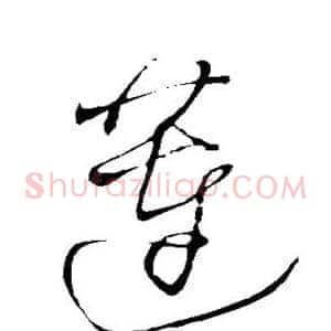 莲