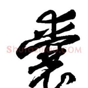 囊