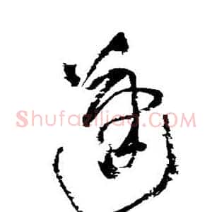 蓬