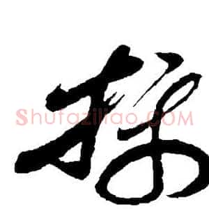 摄