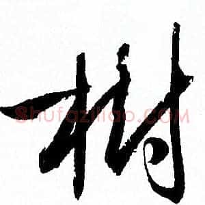 樹