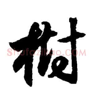 樹
