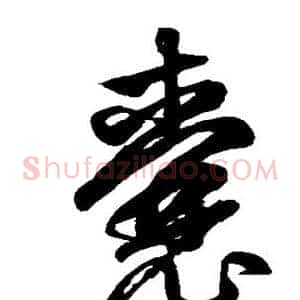 囊