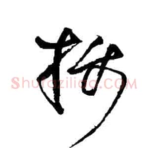攝