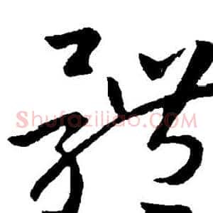 体