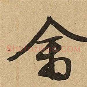 禽