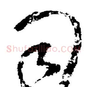 司