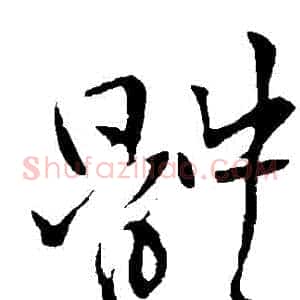 體