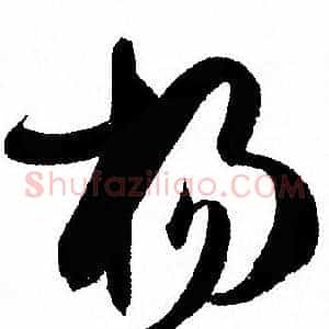 杨