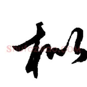 枇