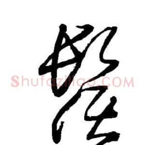 须
